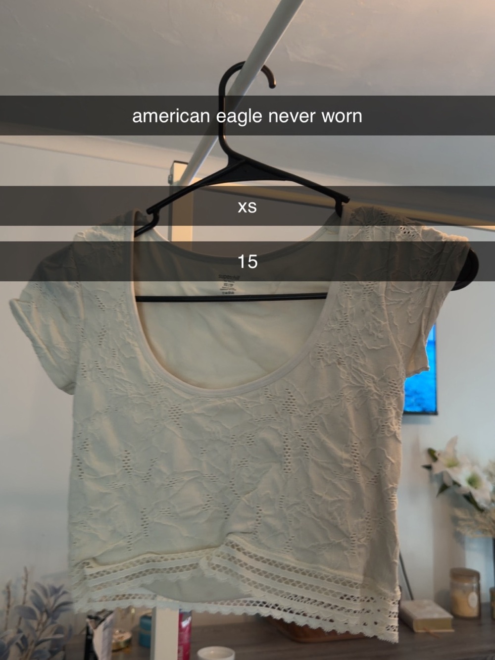 American Eagle Outfitters Cream Lace Crop Top